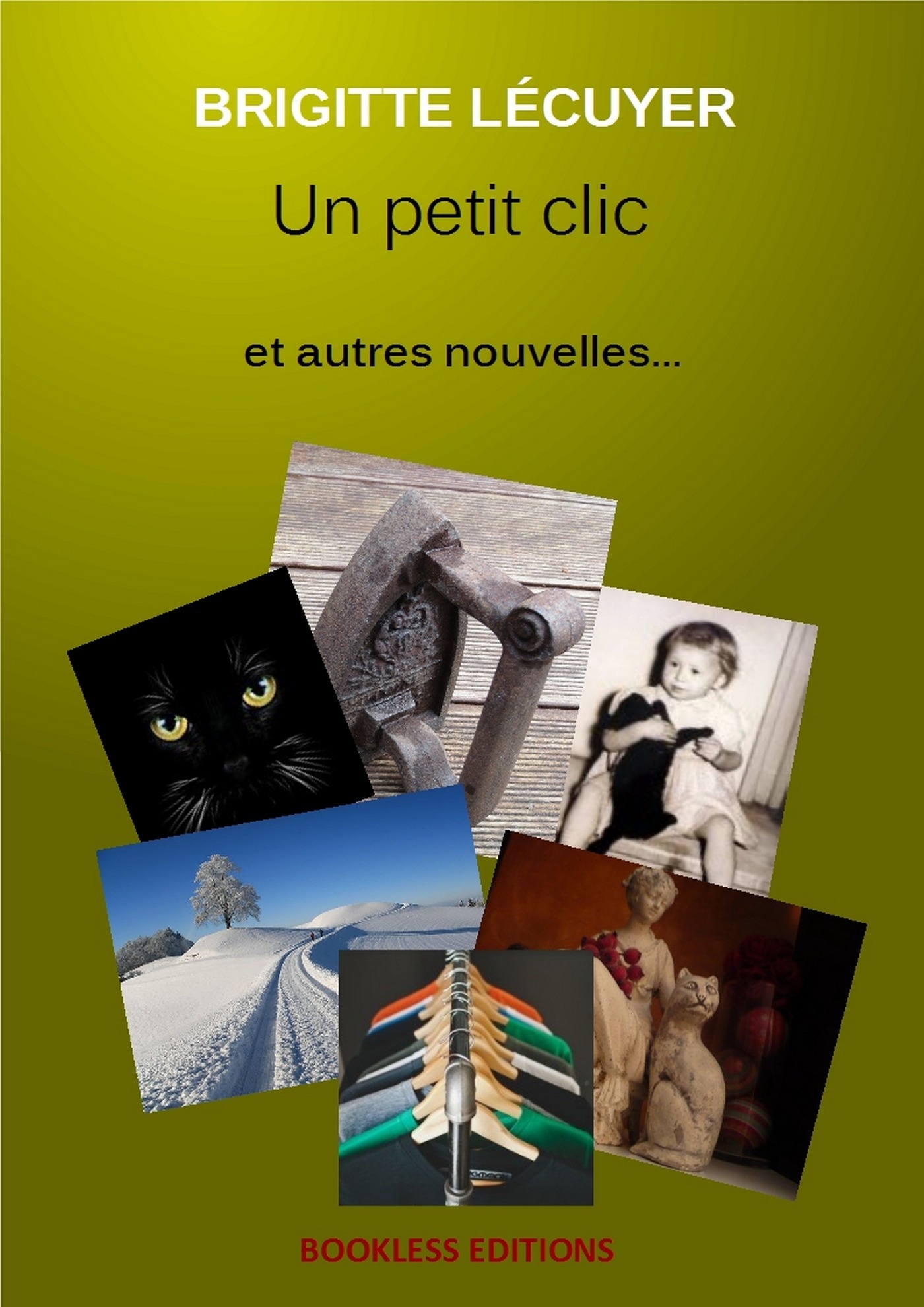 Couverture ebook de Un petit clic et autres nouvelles, de Bookless-Editions Brigitte Lecuyer