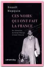 ebook cover of Ces Noirs qui ont fait la France, by Benoît Hopquin