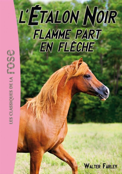 ebook cover of L'Etalon Noir 12 - Flamme part en flèche, by Walter Farley