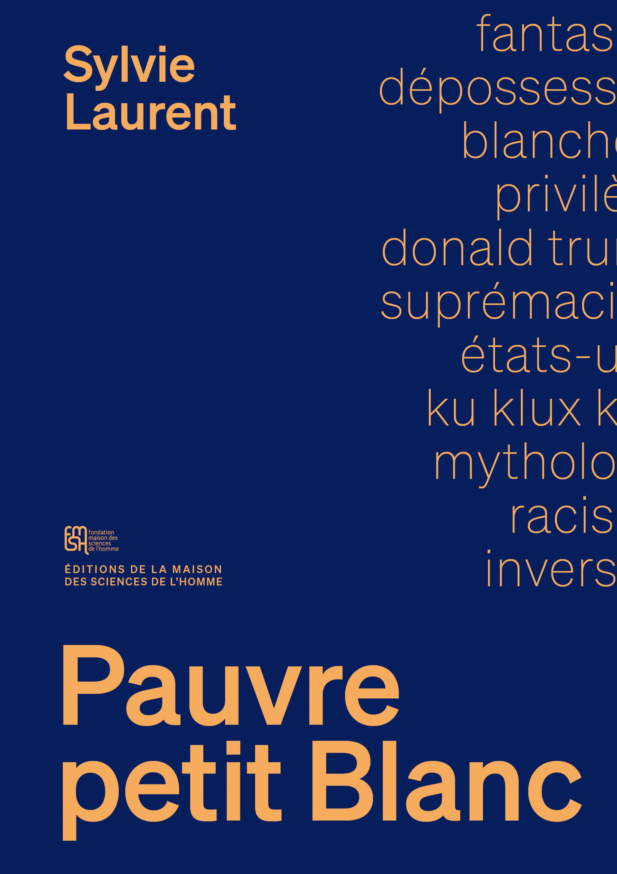 ebook cover of Pauvre petit blanc, by Sylvie Laurent