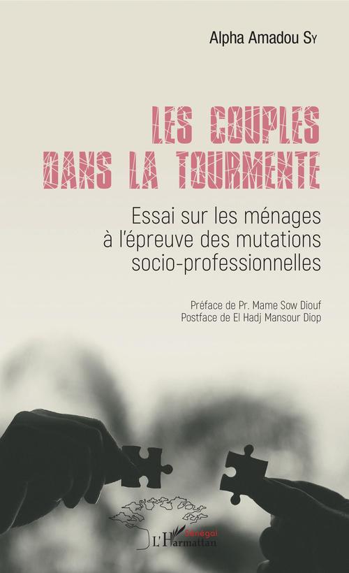 ebook cover of Les couples dans la tourmente, by Alpha Amadou Sy