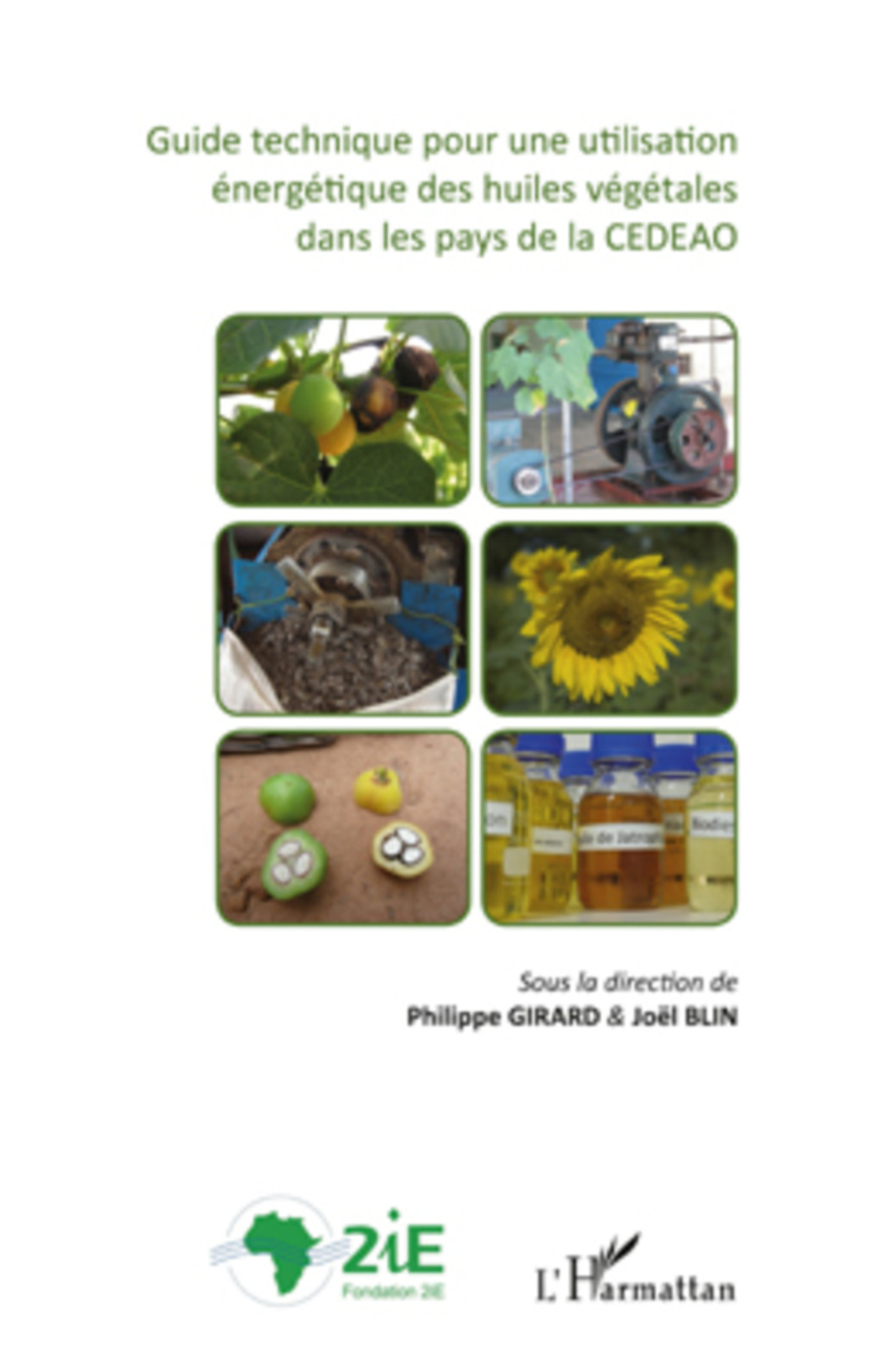 Couverture ebook de Guide technique pour une utilisation énergétique des huiles végétales dans les pays de la CEDEAO, de Joël Blin, Philippe Girard