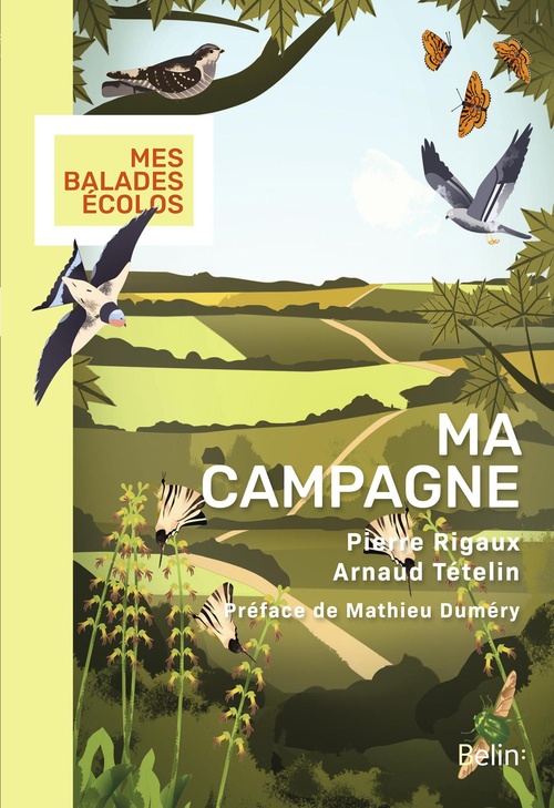 ebook cover of Ma campagne, by Pierre Rigaux, Arnaud Tételin