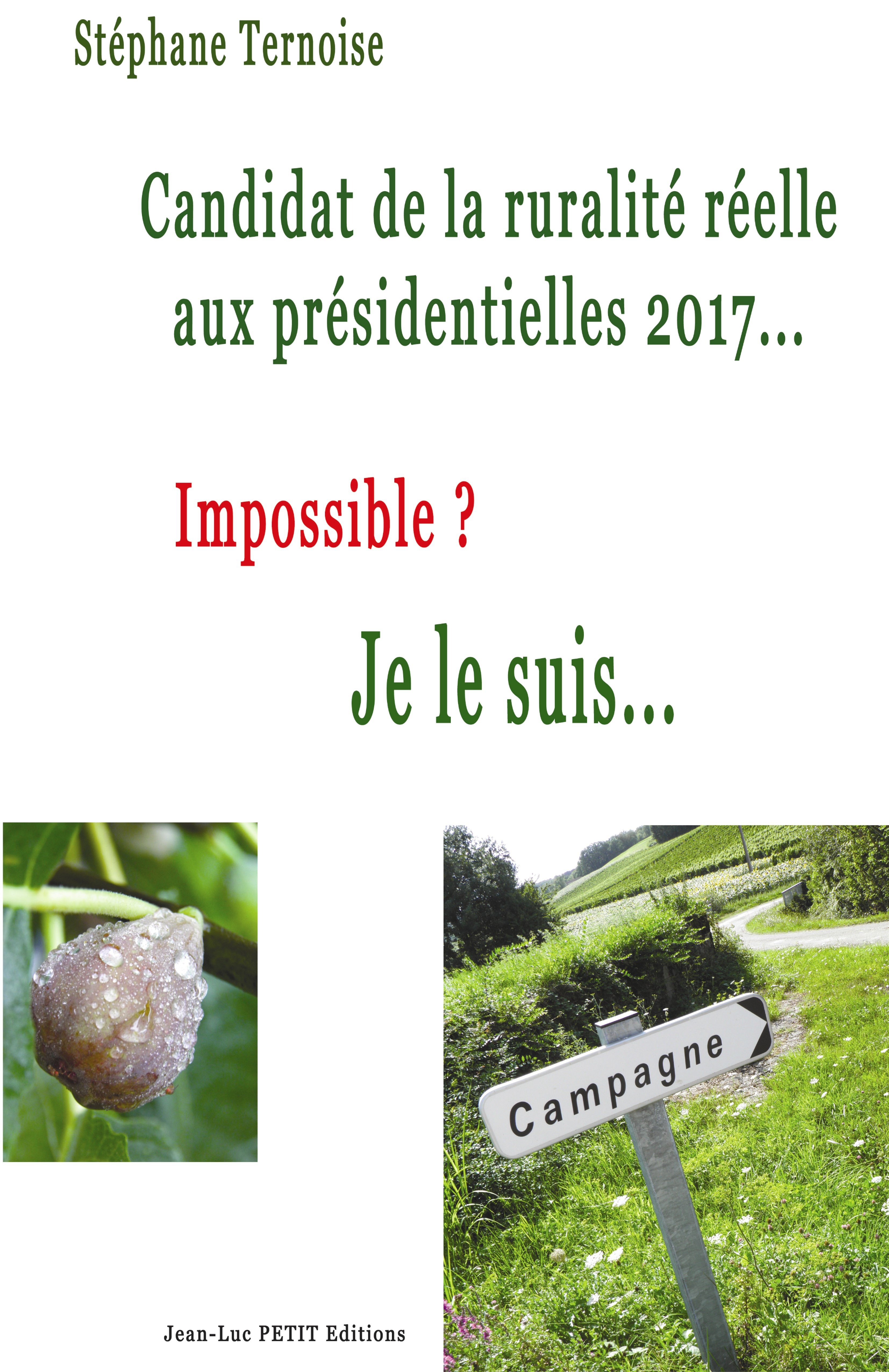 ebook cover of Candidat de la ruralité réelle aux présidentielles 2017... Impossible ? Je le suis..., by Stéphane Ternoise