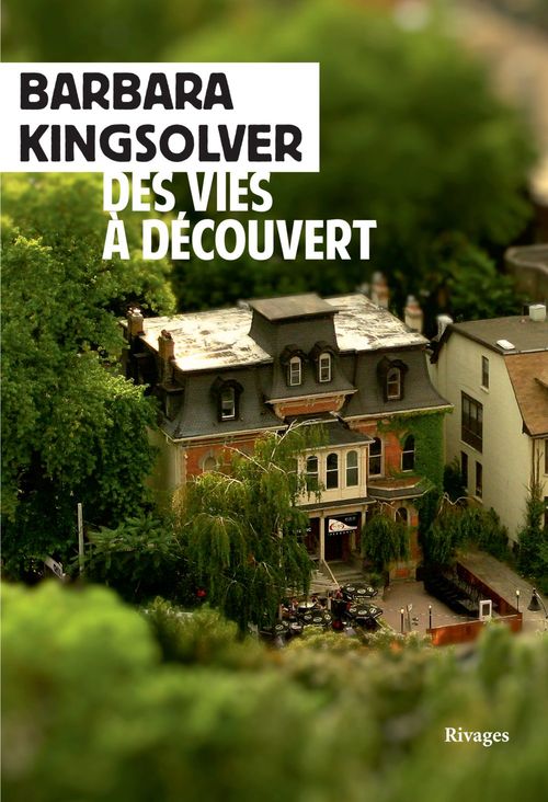 ebook cover of Des vies à découvert, by Barbara Kingsolver