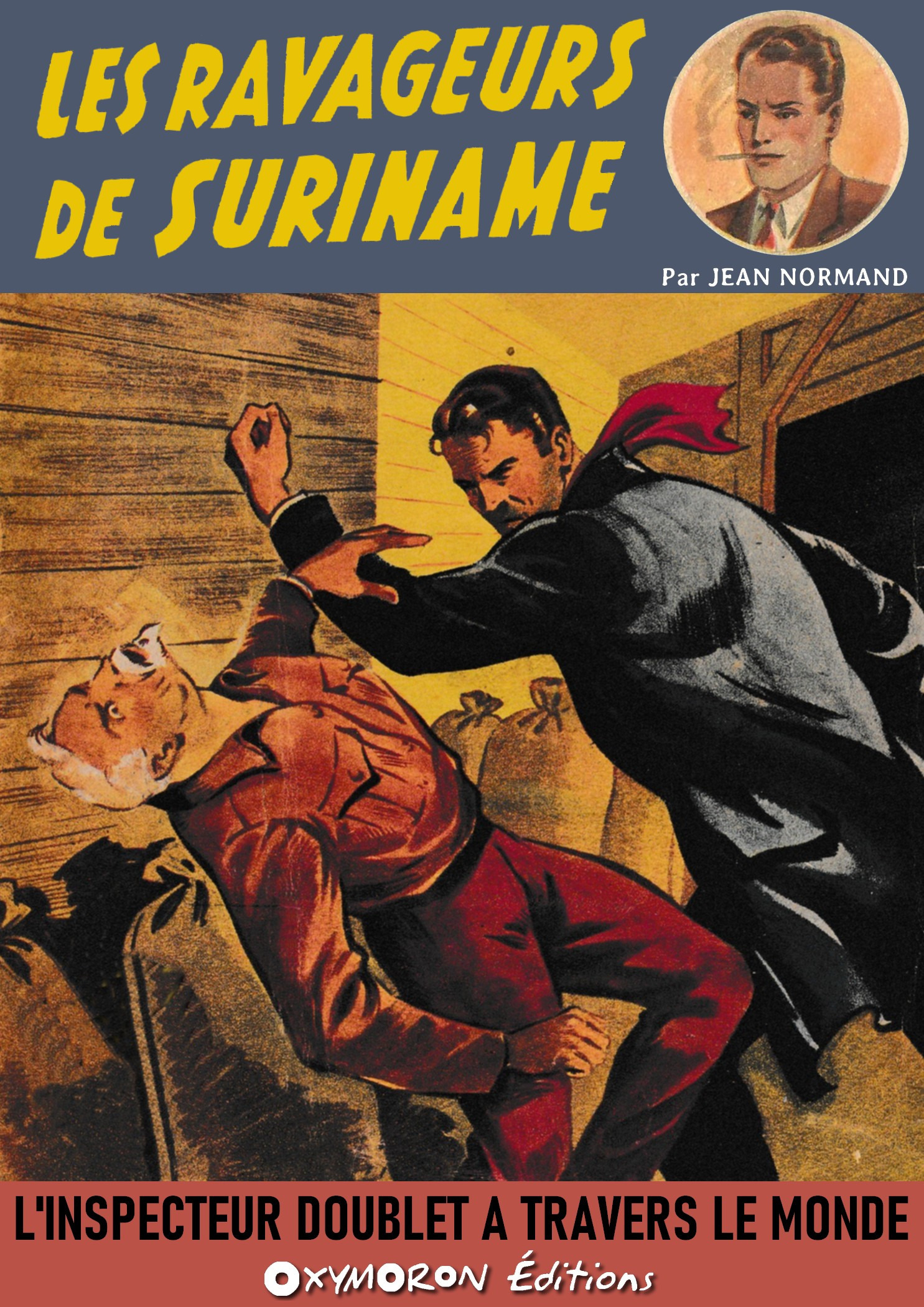 ebook cover of Les Ravageurs de Suriname, by Jean Normand