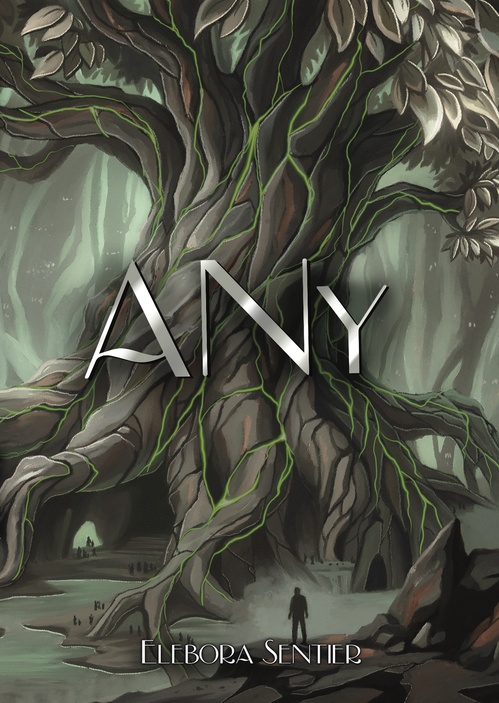 ebook cover of ANy, by Elebora Sentier