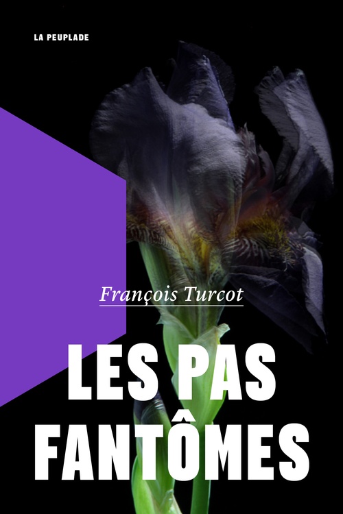 ebook cover of Les pas fantômes, by François Turcot