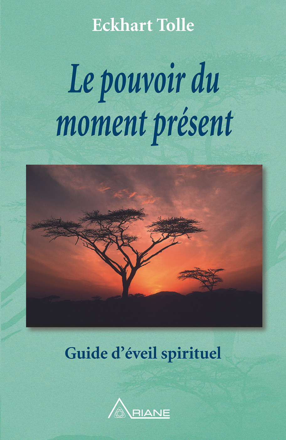 ebook cover of Le pouvoir du moment présent, by Eckhart Tolle