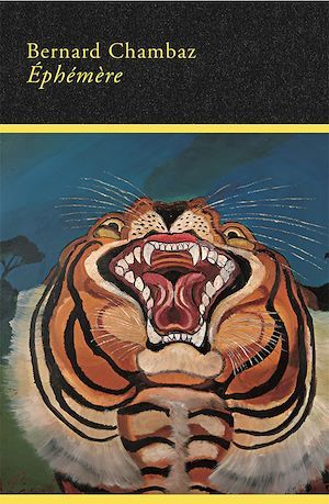 ebook cover of Éphémère, by Bernard Chambaz