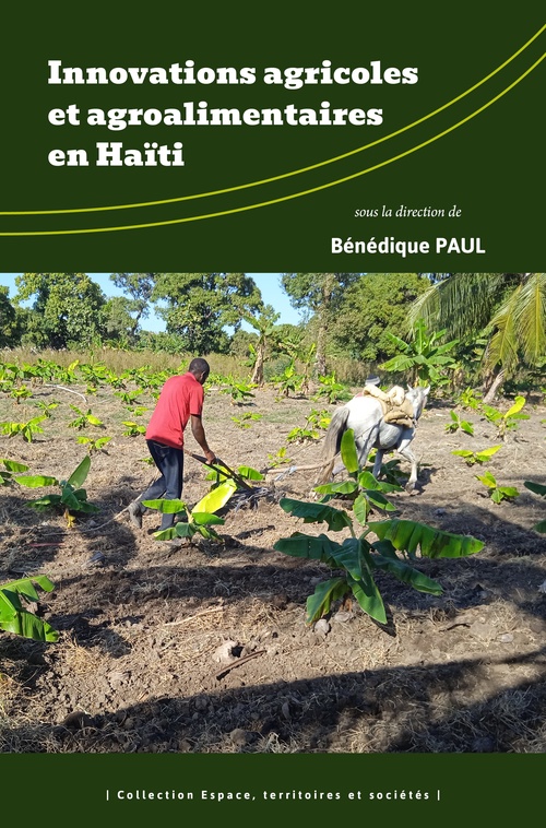 ebook cover of Innovations agricoles et agroalimentaires en Haïti, by Bénédique Paul
