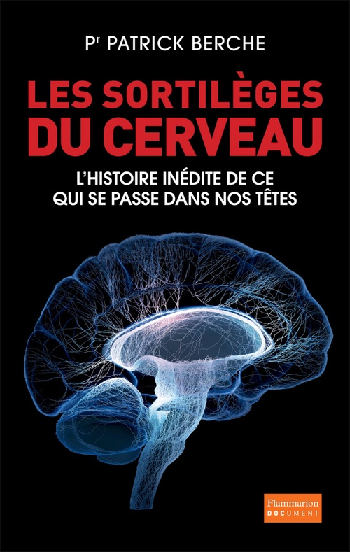 ebook cover of Les Sortilèges du cerveau, by Patrick Berche