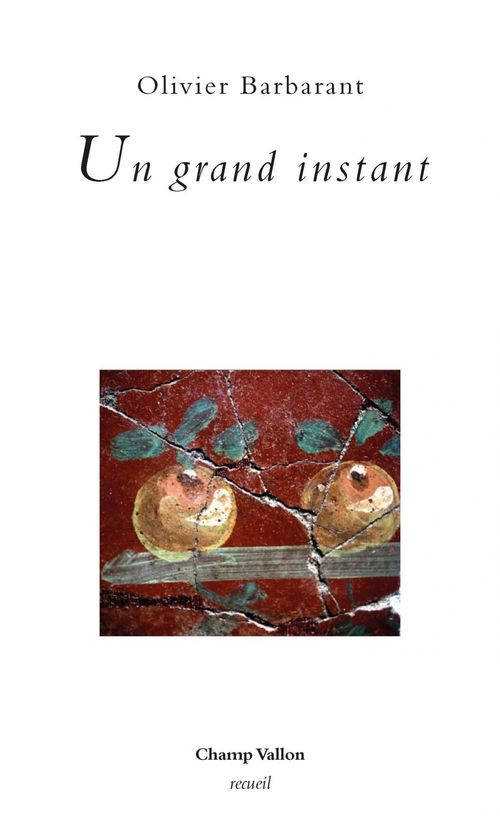 ebook cover of Un grand instant, by Olivier Barbarant