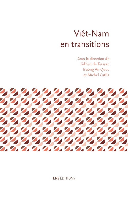Couverture ebook de Viêt-Nam en transitions, de Truong An Quoc, Laurence Roulleau Berger