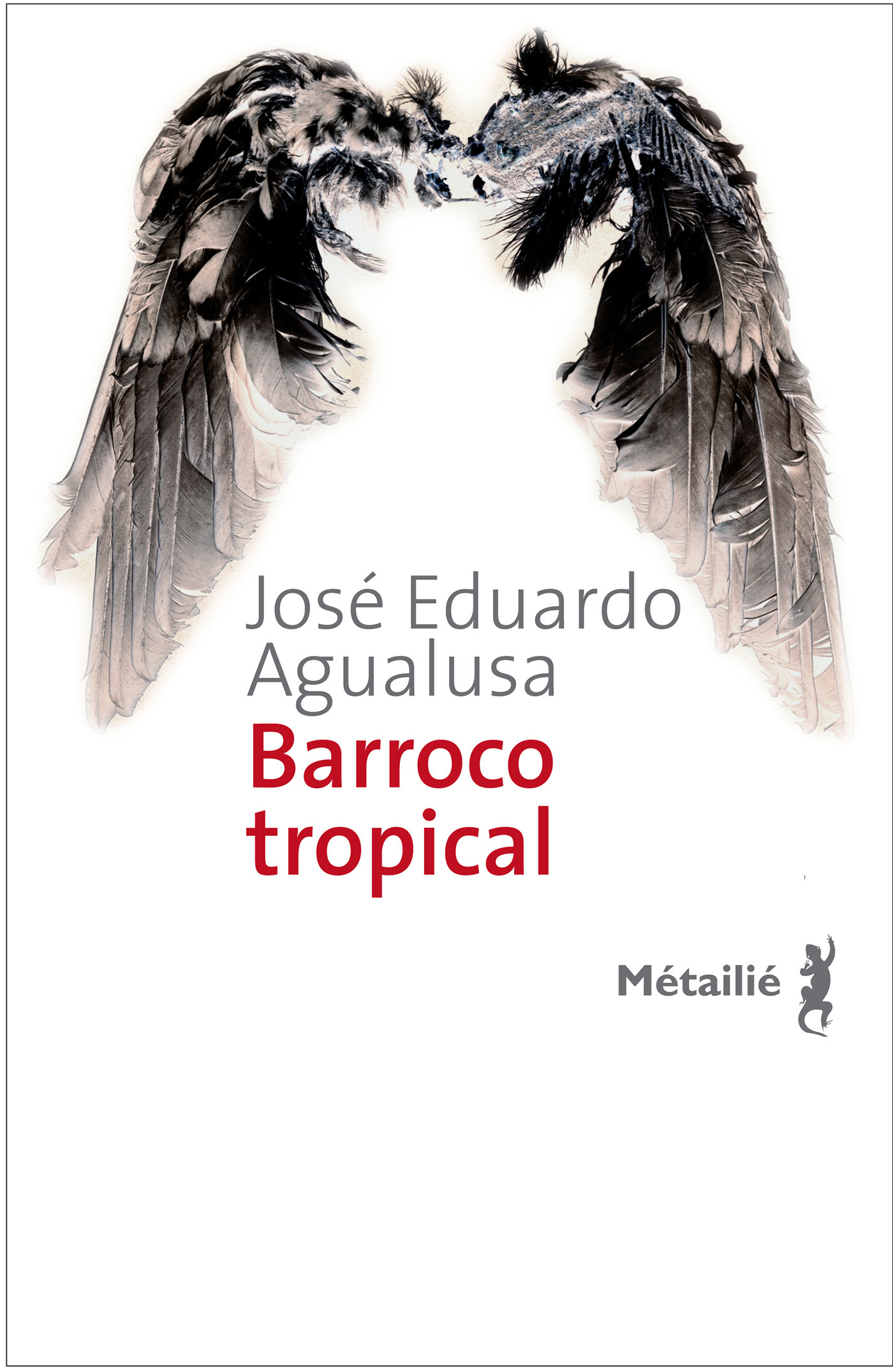 ebook cover of Barrocco tropical, by José eduardo Agualusa