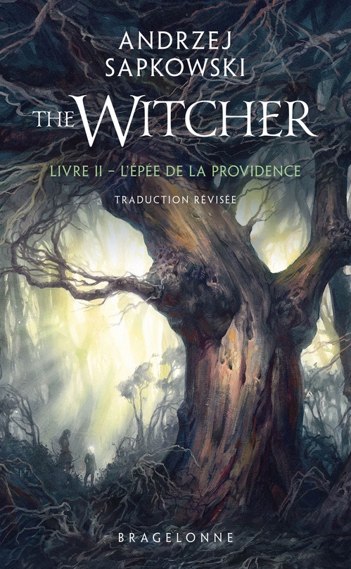 ebook cover of Sorceleur (Witcher), T2 : L'Épée de la providence (traduction révisée), by Andrzej Sapkowski