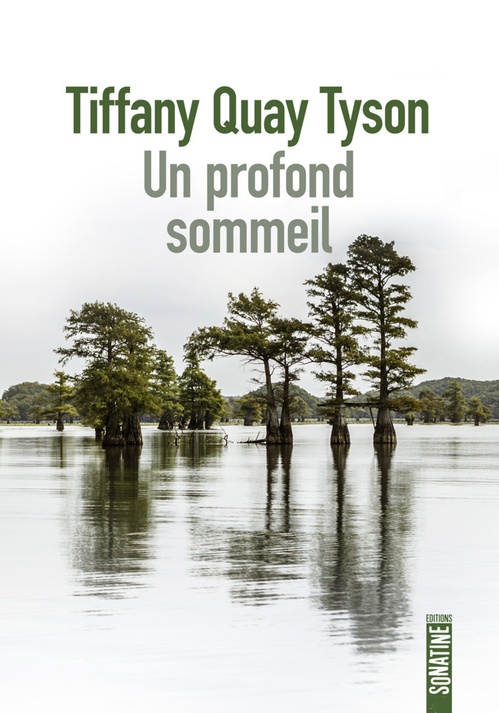 Couverture ebook de Un profond sommeil, de Tiffany Quay Tyson