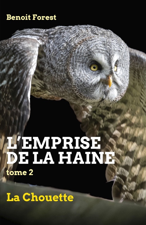 Couverture ebook de L'Emprise de la haine, Tome 2, de Benoit Forest