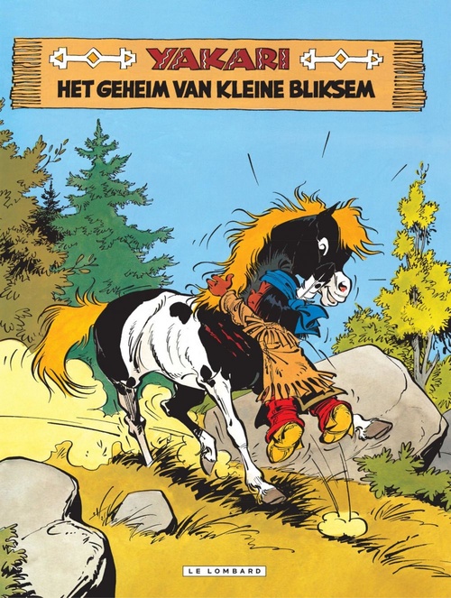 ebook cover of Het geheim van kleine bliksem, by Job