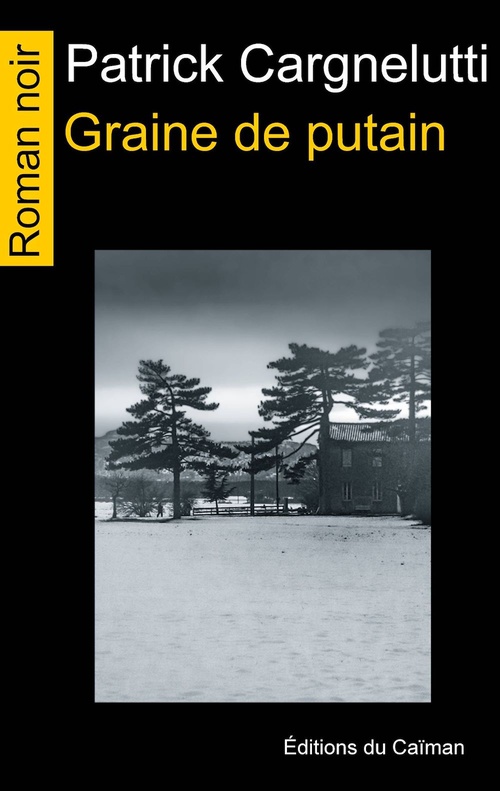 ebook cover of Graine de putain, by Patrick Cargnelutti