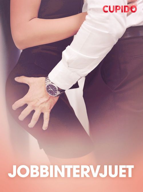 ebook cover of Jobbintervjuet - erotiske noveller, by Cupido