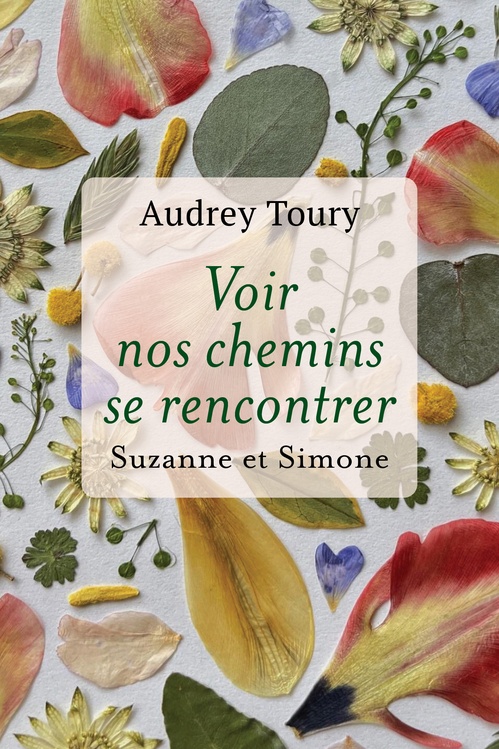 ebook cover of Voir nos chemins se rencontrer, by Audrey Toury