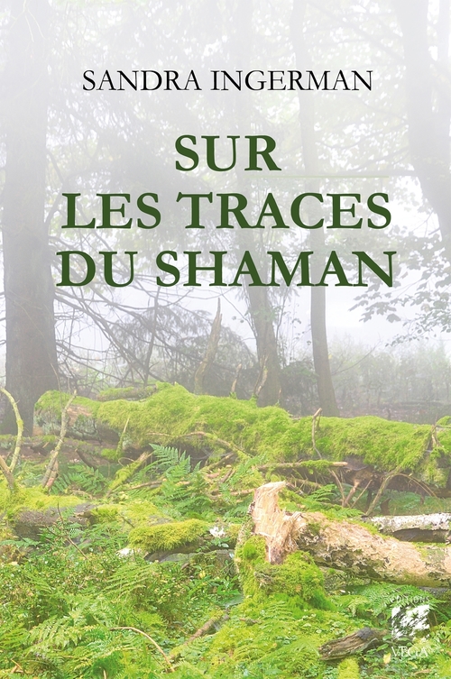 ebook cover of Sur les traces du shaman, by Sandra Ingerman