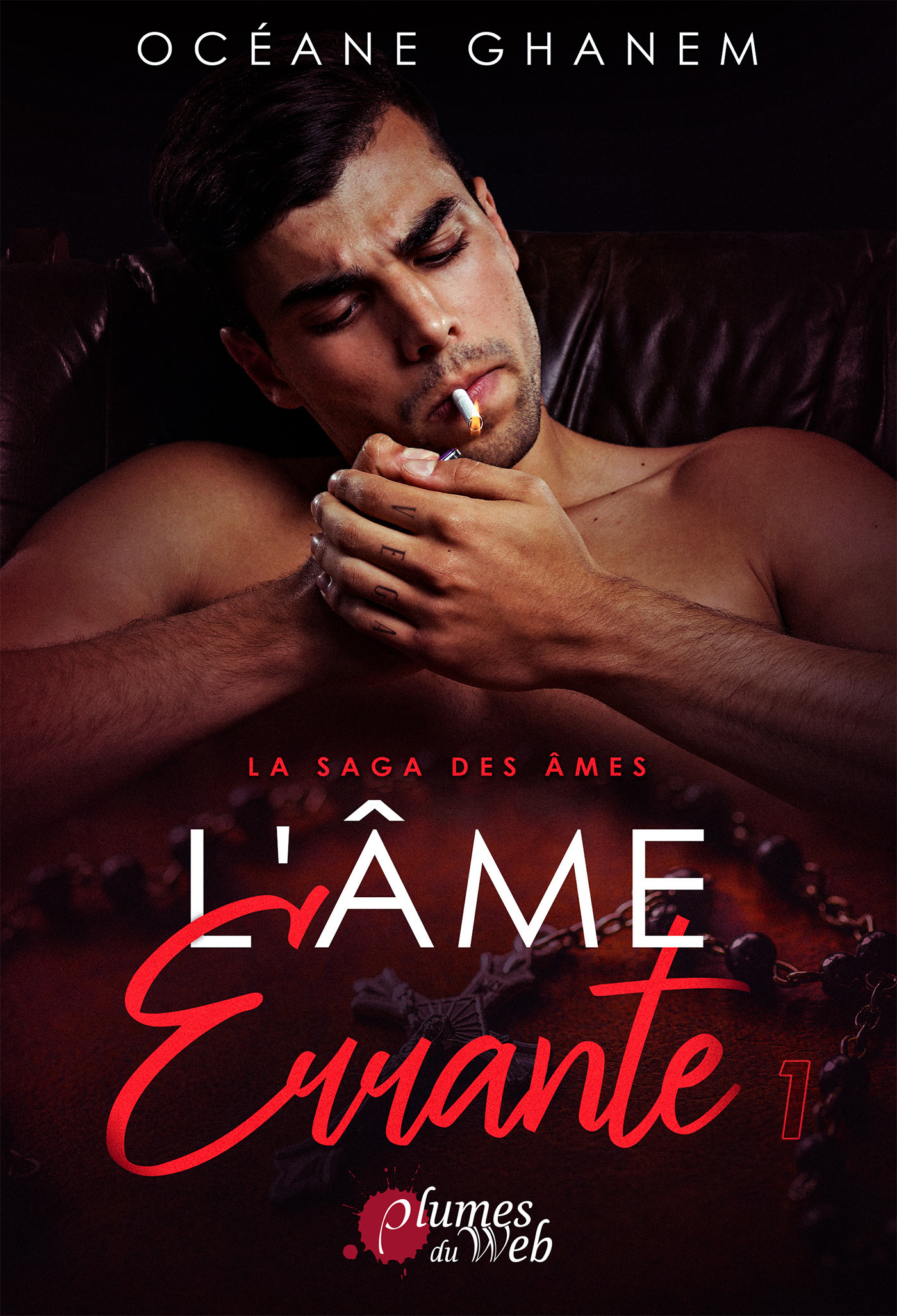 Couverture ebook de La Saga des Âmes : L´Âme Errante - Tome 1, de Océane Ghanem