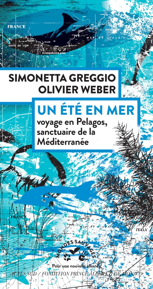 Couverture ebook de Un été en mer, de Olivier Weber, Simonetta Greggio
