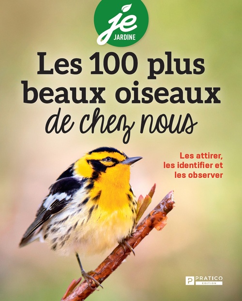 Couverture ebook de Les 100 plus beaux oiseaux de chez nous, de Pratico Édition