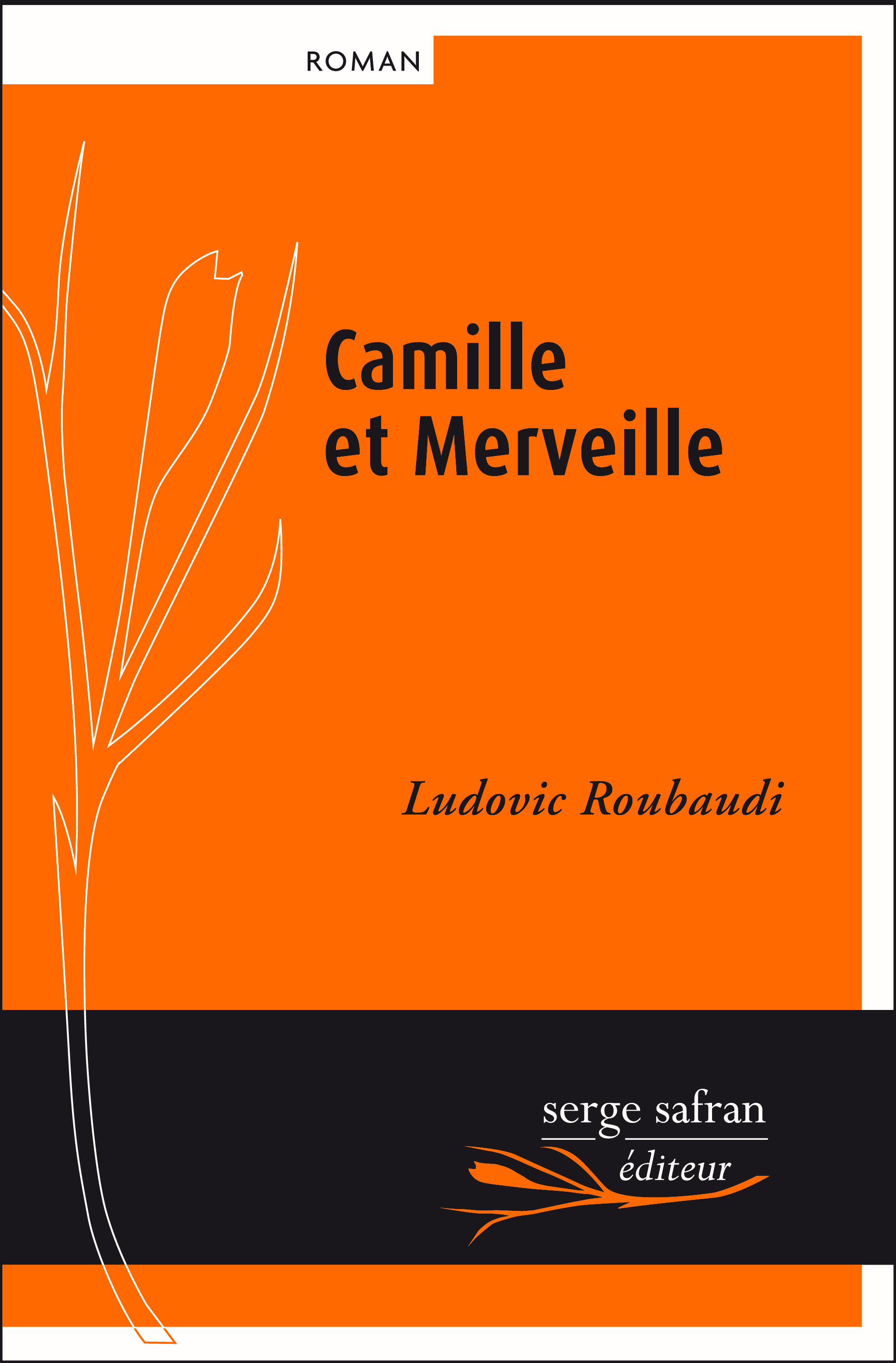 Couverture ebook de Camille et Merveille, de Ludovic Roubaudi