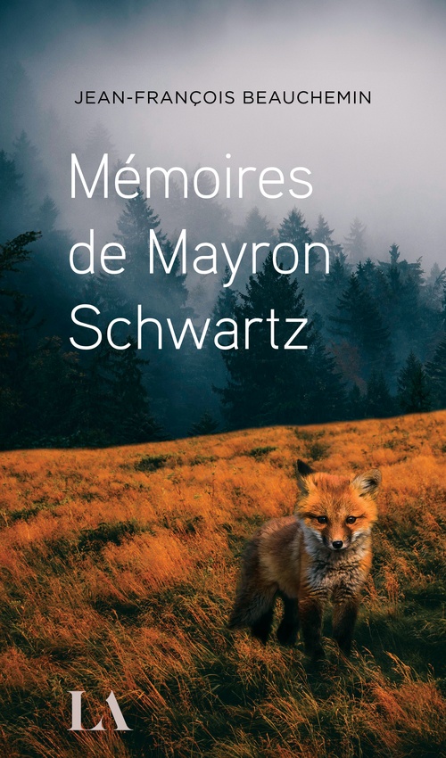 ebook cover of Mémoires de Mayron Schwartz, by Jean-François Beauchemin