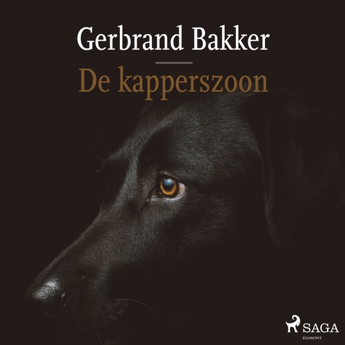 audiobook cover of De kapperszoon, by Gerbrand Bakker