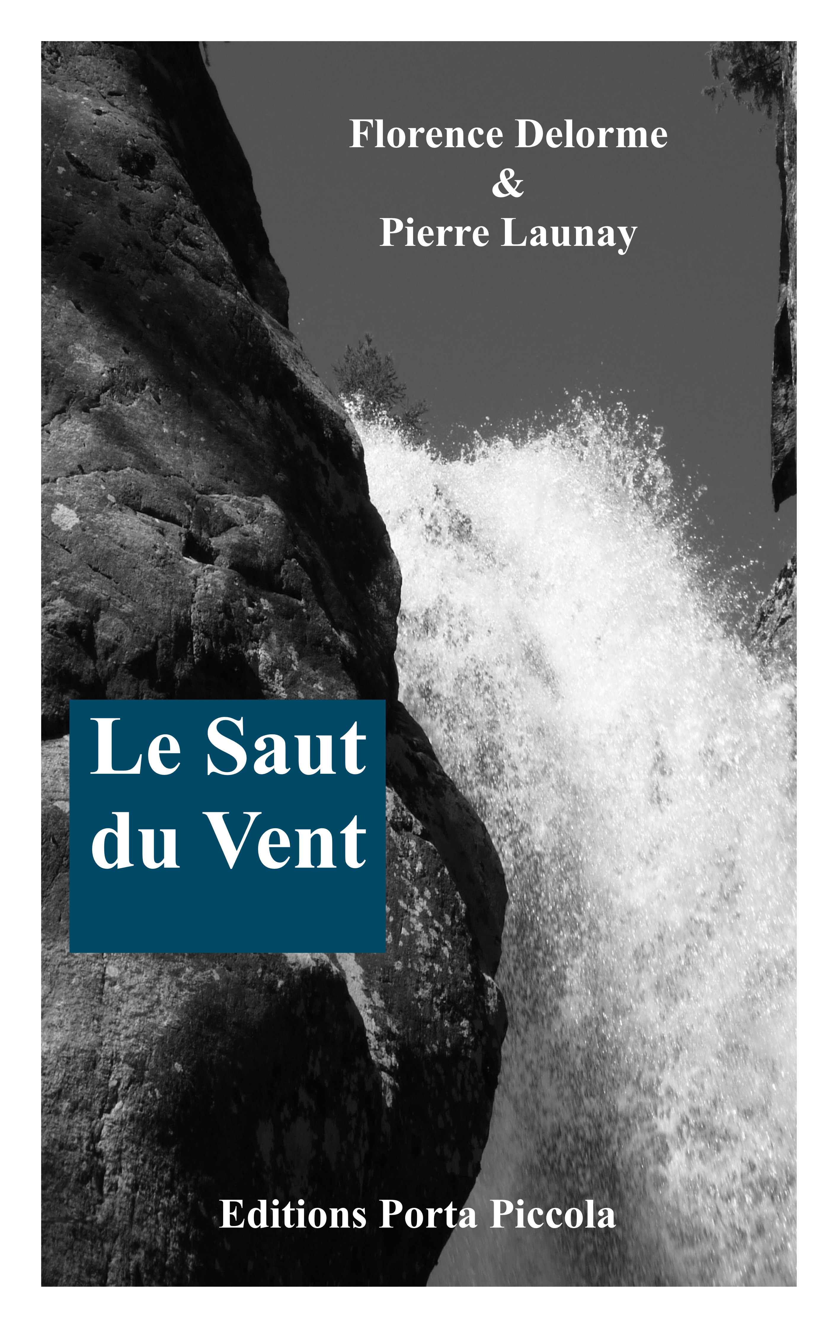 ebook cover of Le Saut du Vent, by Florence Delorme, Pierre Launay