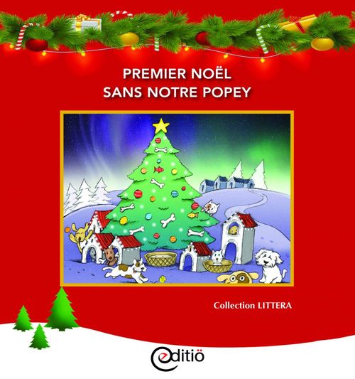 ebook cover of Premier Noël sans notre Popey, by Diane Pageau