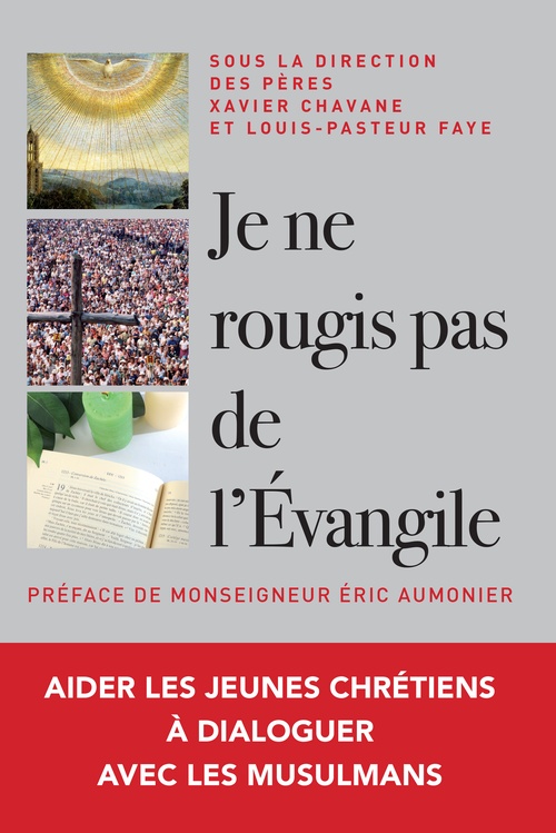 ebook cover of Je ne rougis pas de l'Évangile !, by Collectif