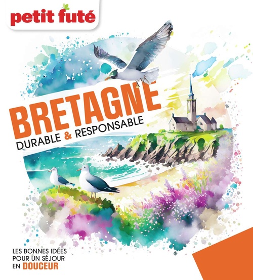 ebook cover of BRETAGNE DURABLE & RESPONSABLE 2024 Petit Futé, by Collectif petit futé