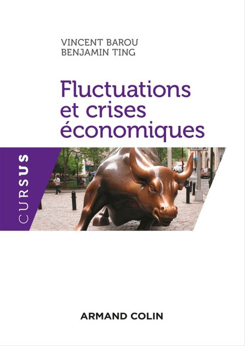 Couverture ebook de Fluctuations et crises économiques, de Vincent Barou, Benjamin Ting