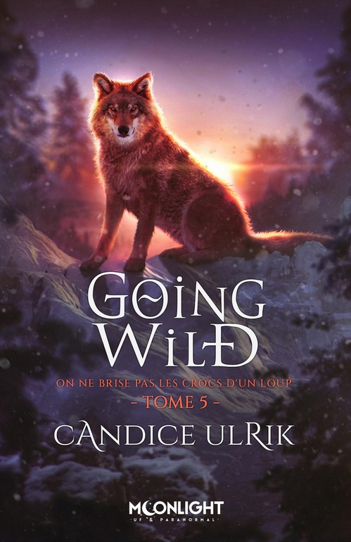 ebook cover of On ne brise pas les crocs d'un loup, by Candice Ulrik