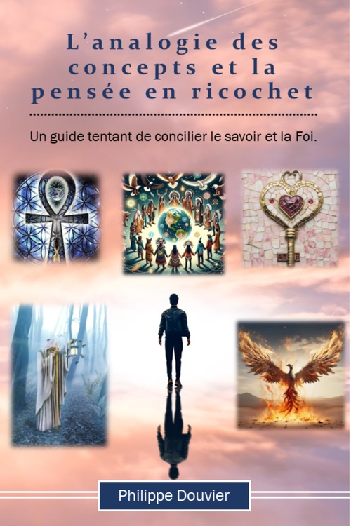 ebook cover of L'analogie des concepts et la pensée en ricochet, by Philippe Douvier