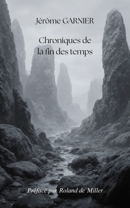 ebook cover of Chroniques de la fin des temps, by Jérôme Garnier