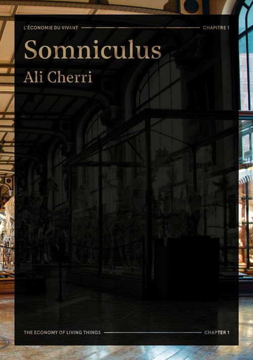 Couverture ebook de Ali Cherri - Somniculus, de Osei Bonsu