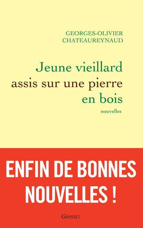 Couverture ebook de Jeune vieillard assis sur une pierre en bois, de Georges-Olivier Châteaureynaud