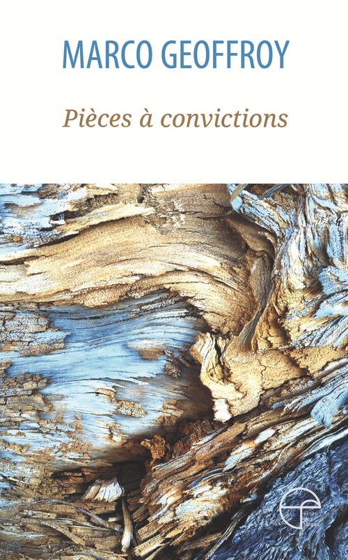 Couverture ebook de Pièces à convictions, de Marco Geoffroy