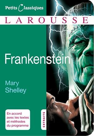 ebook cover of Frankenstein, by Mary Shelley