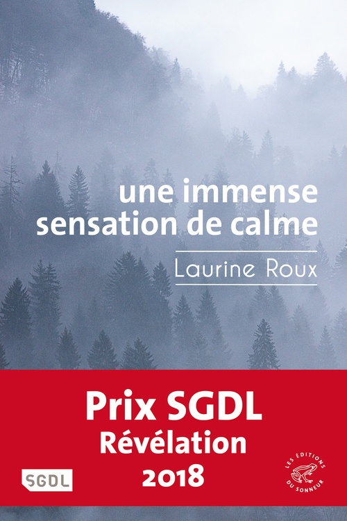 ebook cover of Une immense sensation de calme, by Laurine Roux