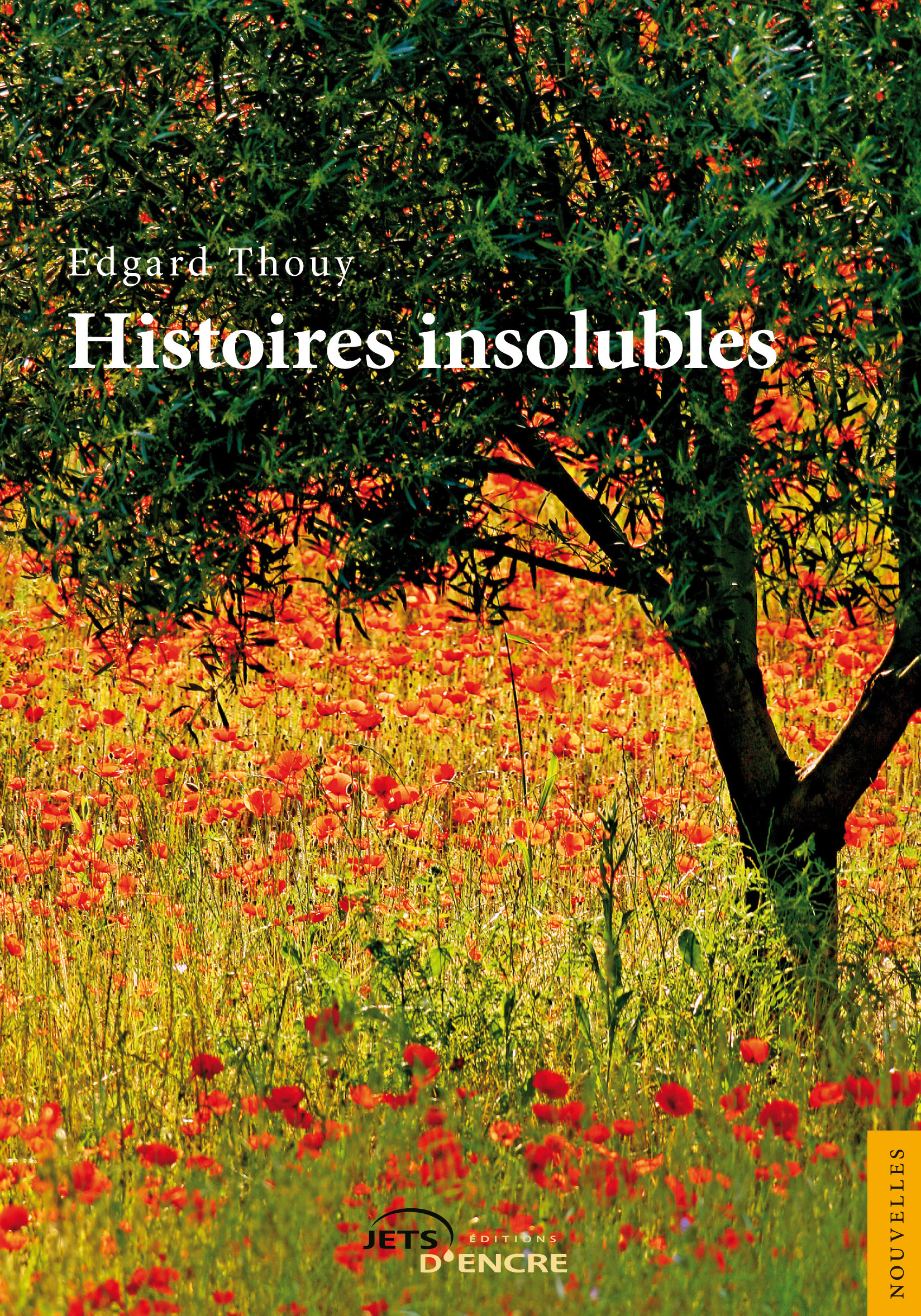 ebook cover of Histoires insolubles, by Thouy-E