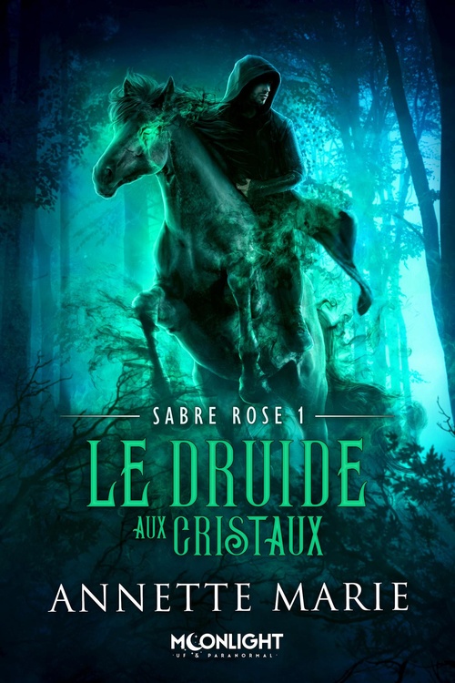 Couverture ebook de Le Druide aux cristaux, de Annette Marie