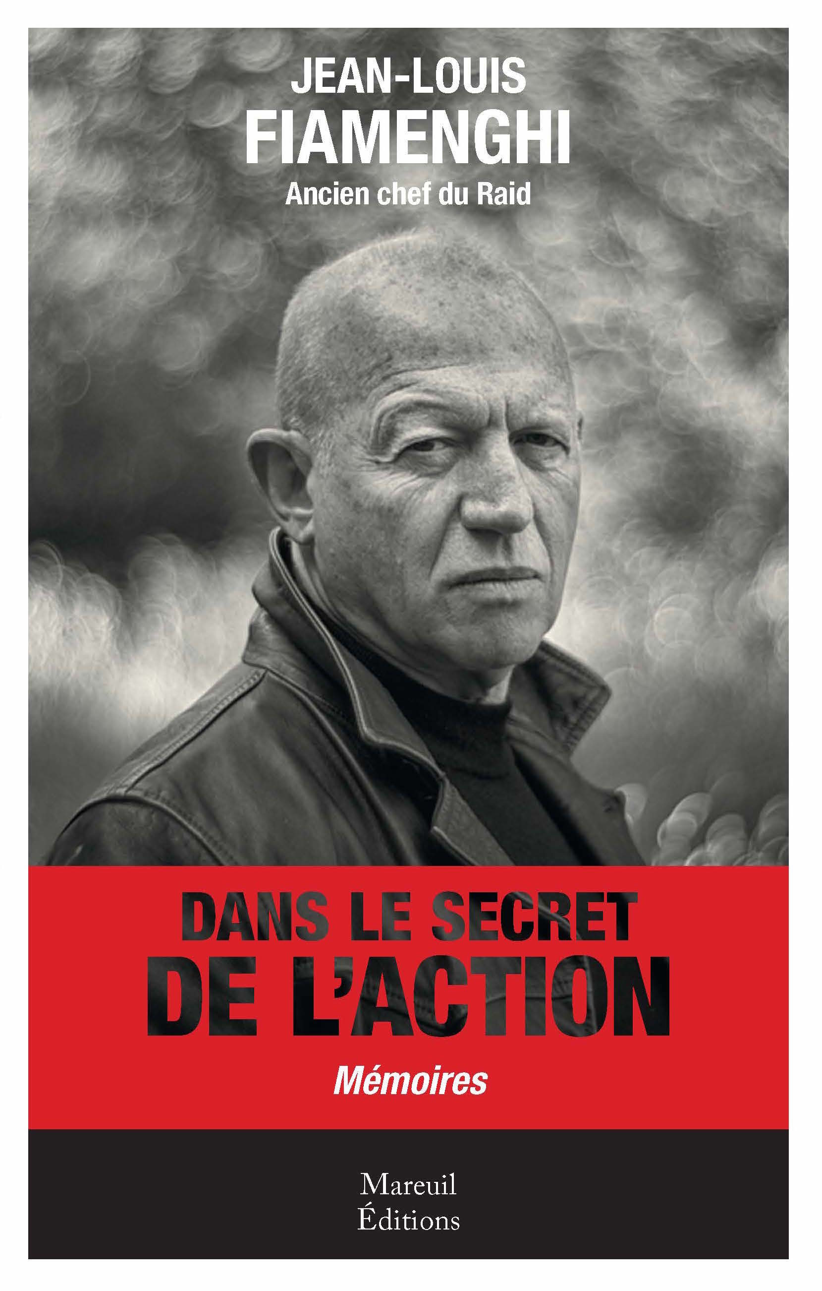 ebook cover of Dans le secret de l'action, by Jean-louis Fiamenghi