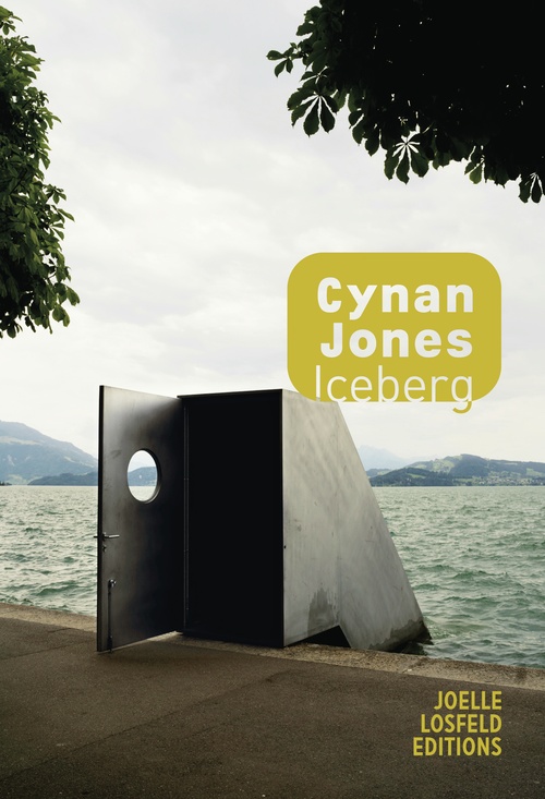 Couverture ebook de Iceberg, de Cynan Jones